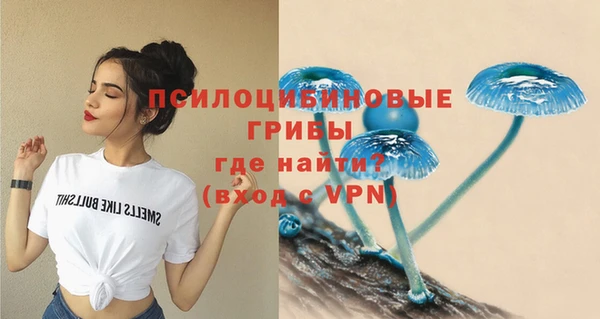 spice Гусев