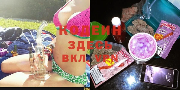 spice Гусев