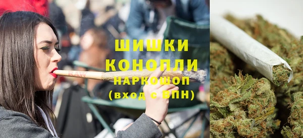 spice Гусев